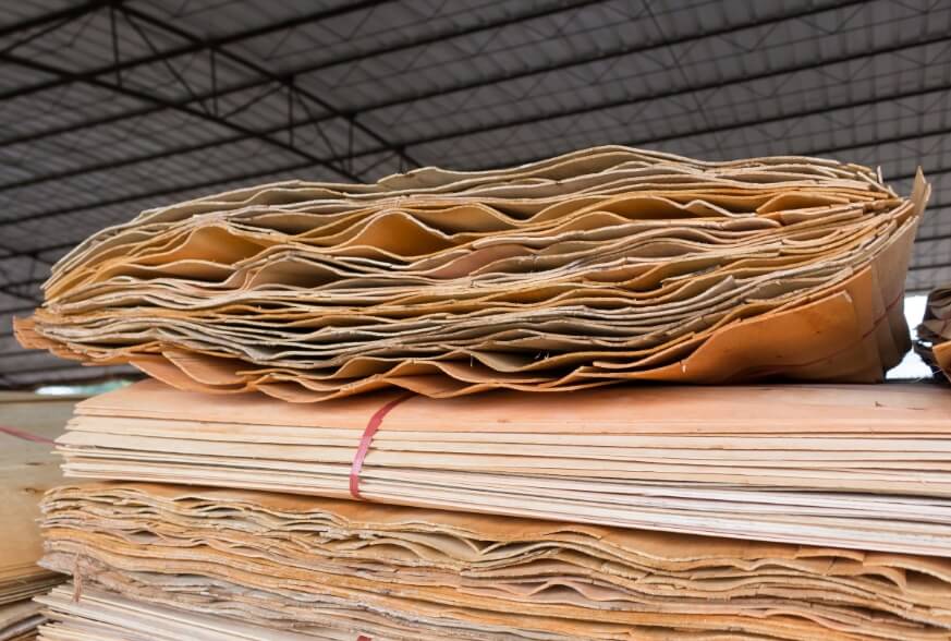 zero carbon footprint